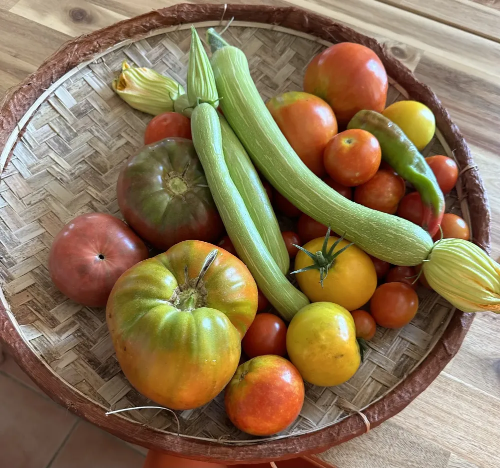 nutrition