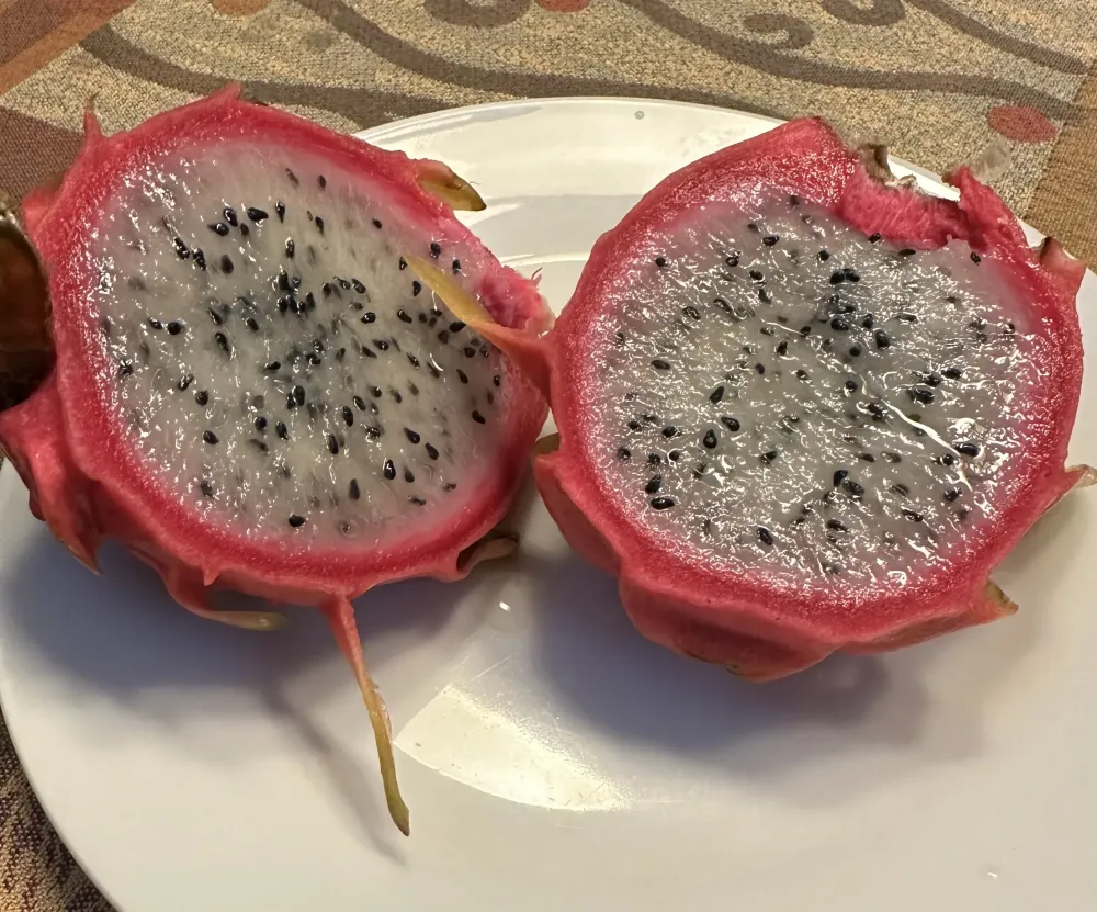 fruit
